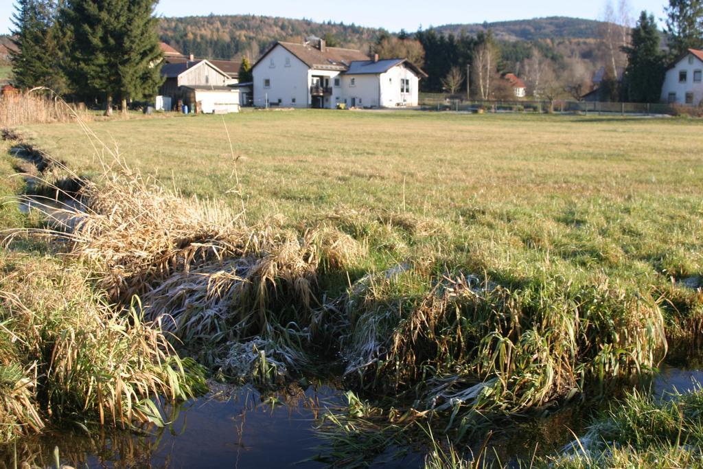 Haus Am Treffenbach Apartment Waldmünchen Exterior foto
